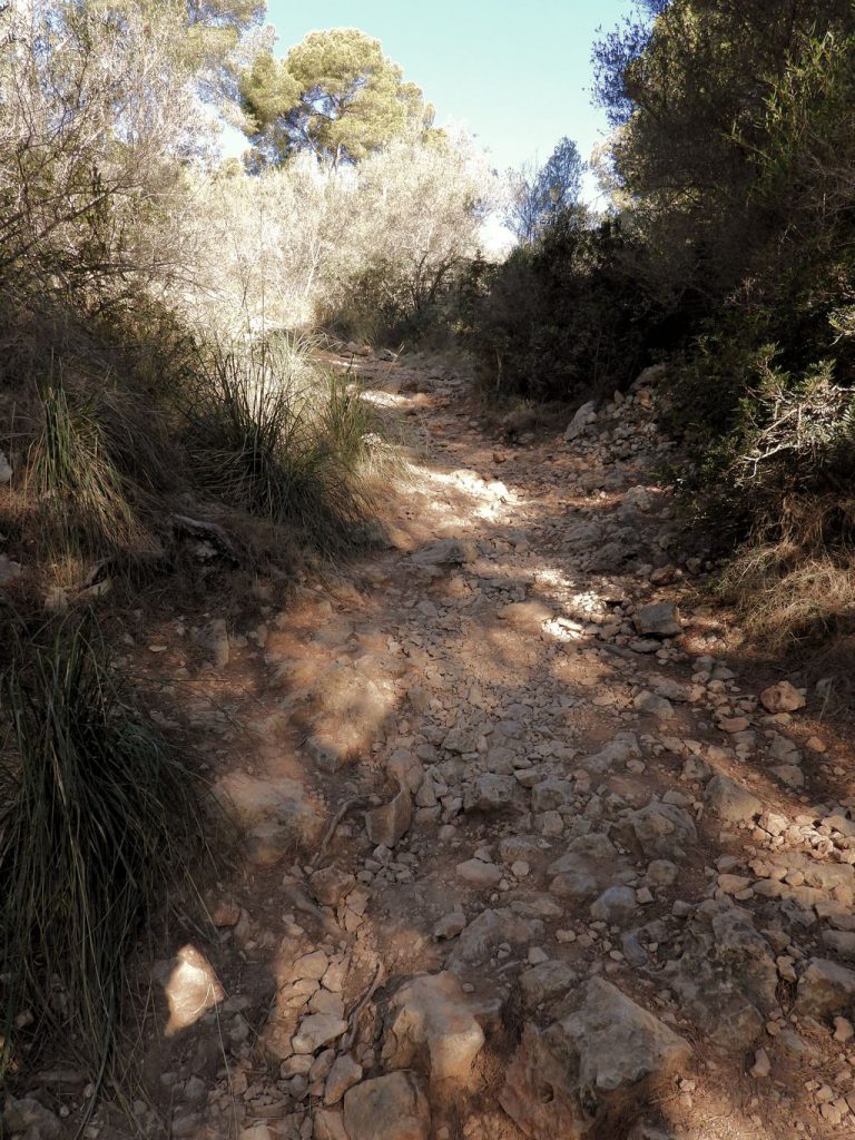 Sendero hacia la torre de Cap Andritxol