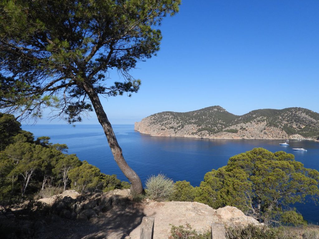 Vista del Cap d'es Llamp desde las inmediaciones de la torre de Cap Andritxol.