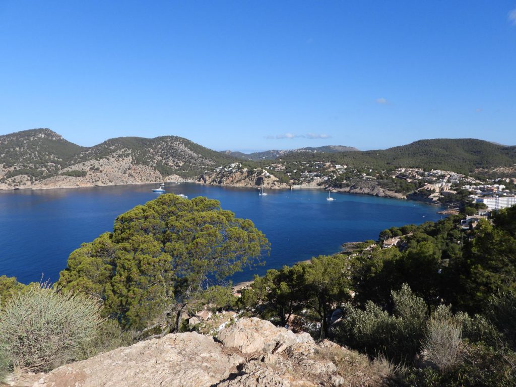 Vista de Camp de Mar desde las inmediaciones de la torre de Cap Andritxol.