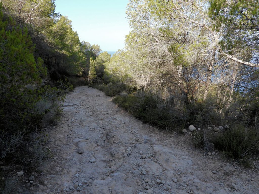 Camino de bajada por la costa hacia cala Egos